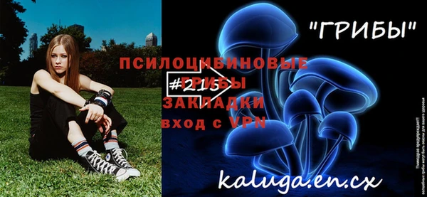 ПСИЛОЦИБИНОВЫЕ ГРИБЫ Усолье-Сибирское
