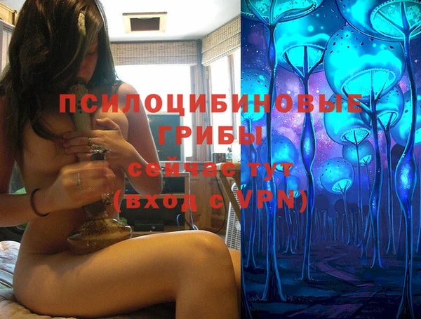 прущий лед Краснослободск