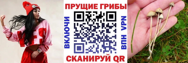 Галлюциногенные грибы GOLDEN TEACHER  цена наркотик  Калач 